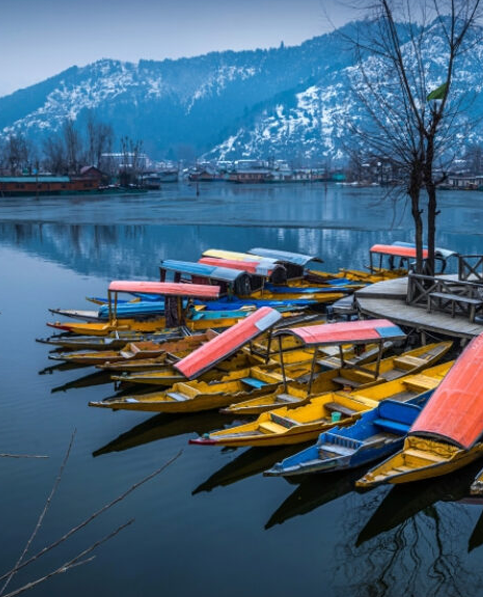 Kashmir