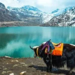 Best Travel Agency in India