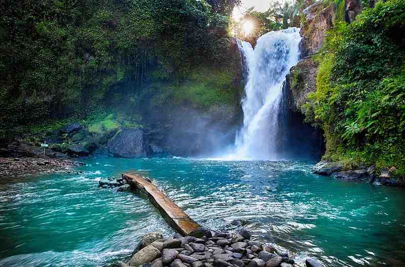 Bali Tour Packages from India
